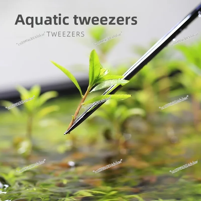 New Stainless Steel Mirror Fish Tank Landscaping Aquatic Tweezers 25cm 33cm Straight Clip Curved Clip