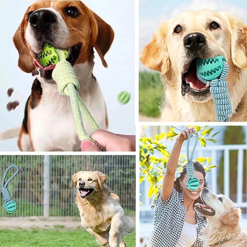 Dog Ball Toy with Rope Interactive Leaking Balls for Small Large Dogs Bite Resistant Chew Toys Puppy Training Pet Accessories