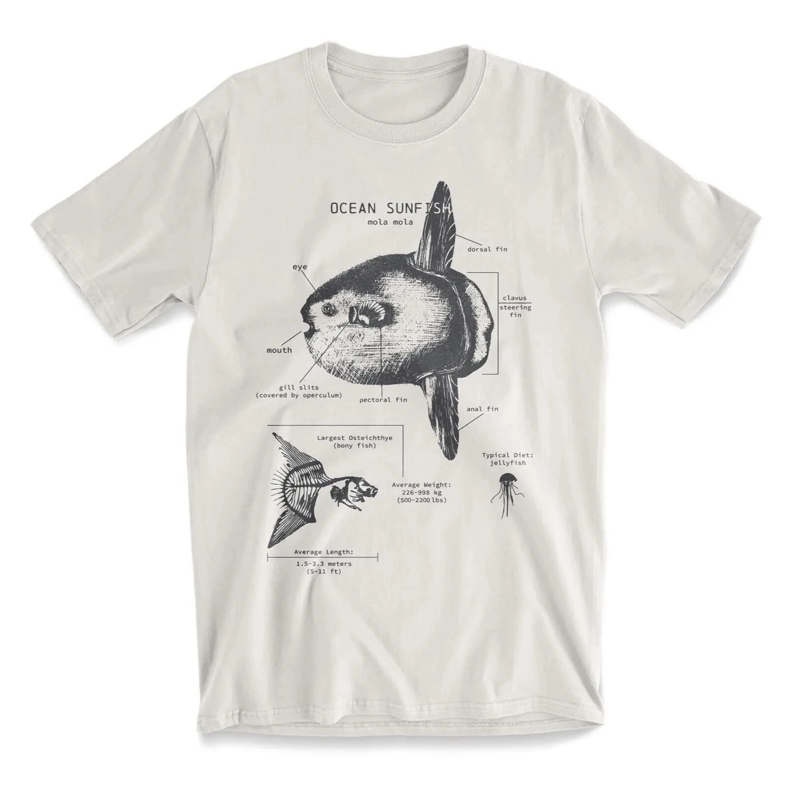 Sunfish Anatomy T-shirt, Sunfish Science T-shirt, Animal Beach Biology, Marine Beach Cover-up, Women's Comfortable Clothing Y2K