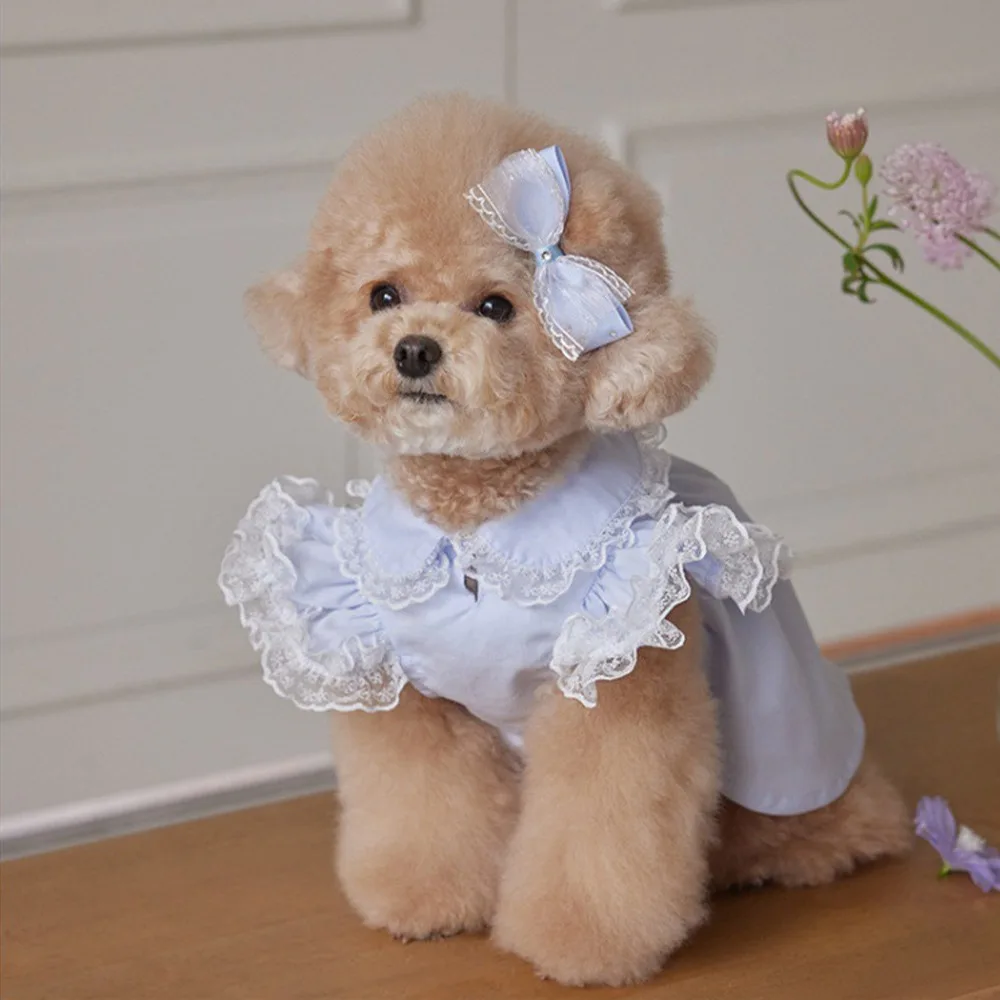 

Pet Supplies Lace Ruffle Dog Princess Dress Soft Breathable Dog Vest Fashion Cat Flying Sleeve Skirt Autumn