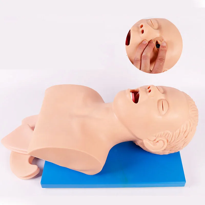 Human Tracheal Intubation Training Model Airway Management Trainer Tracheal Intubation Training Simulator Model