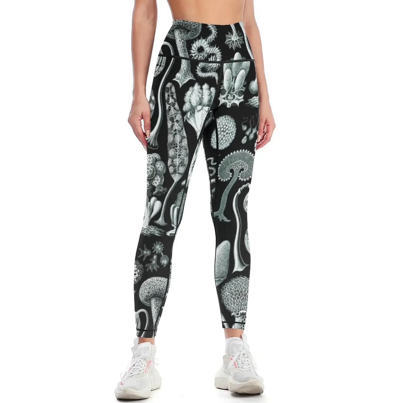 Haeckel illustration Leggings gym pants Women sports Women's tights Women's push up Womens Leggings