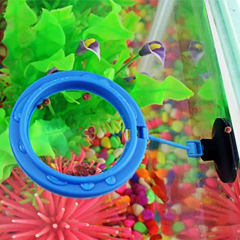 Fish Feeding Supplies Plastic Buoyancy Circle For Aquarium Floating Food Feeder Square/Round Feeding Ring Fish Tank Accessory