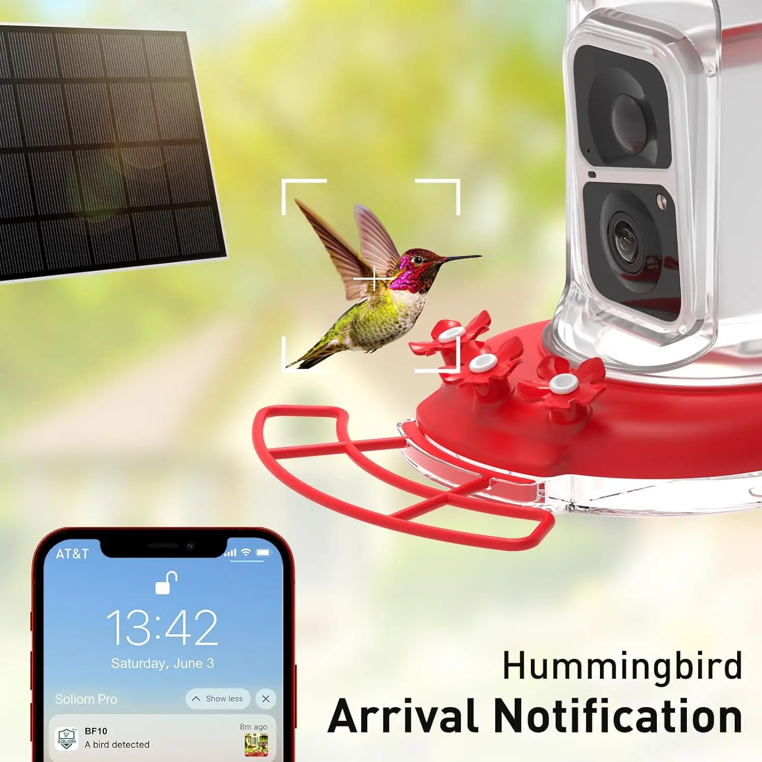 The Original Hummingbird Feeder Camera with Ant Moat, Bee Proof, AI Identify Bird Species  Solar Panel, Bird Watching Camera