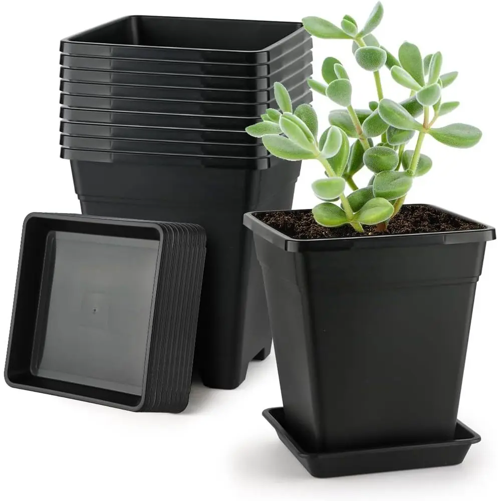 

BTPLASTIK Square Plastic Planter 8 Inch, Plant Pots with Drainage Hole & Tray, 10 Pack ern Decorative Garden Pot with Saucer, 1