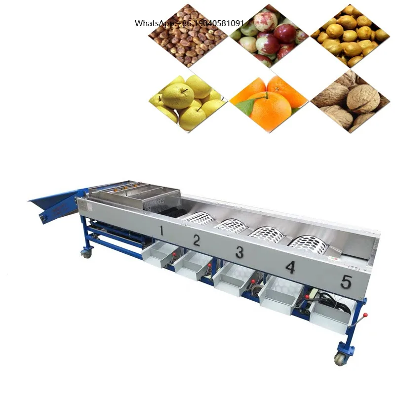 Fruit Size Sorting Machine Industrial Grading Unit For Dates Classification And Multikind Fruit Processing Production Work