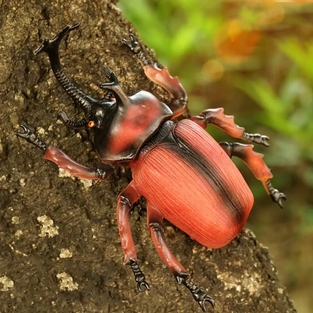 Large Realistic Insect toys Simulated Insect Animal Model Home Garden Decoration Collection Statues Educational Toy for Kids