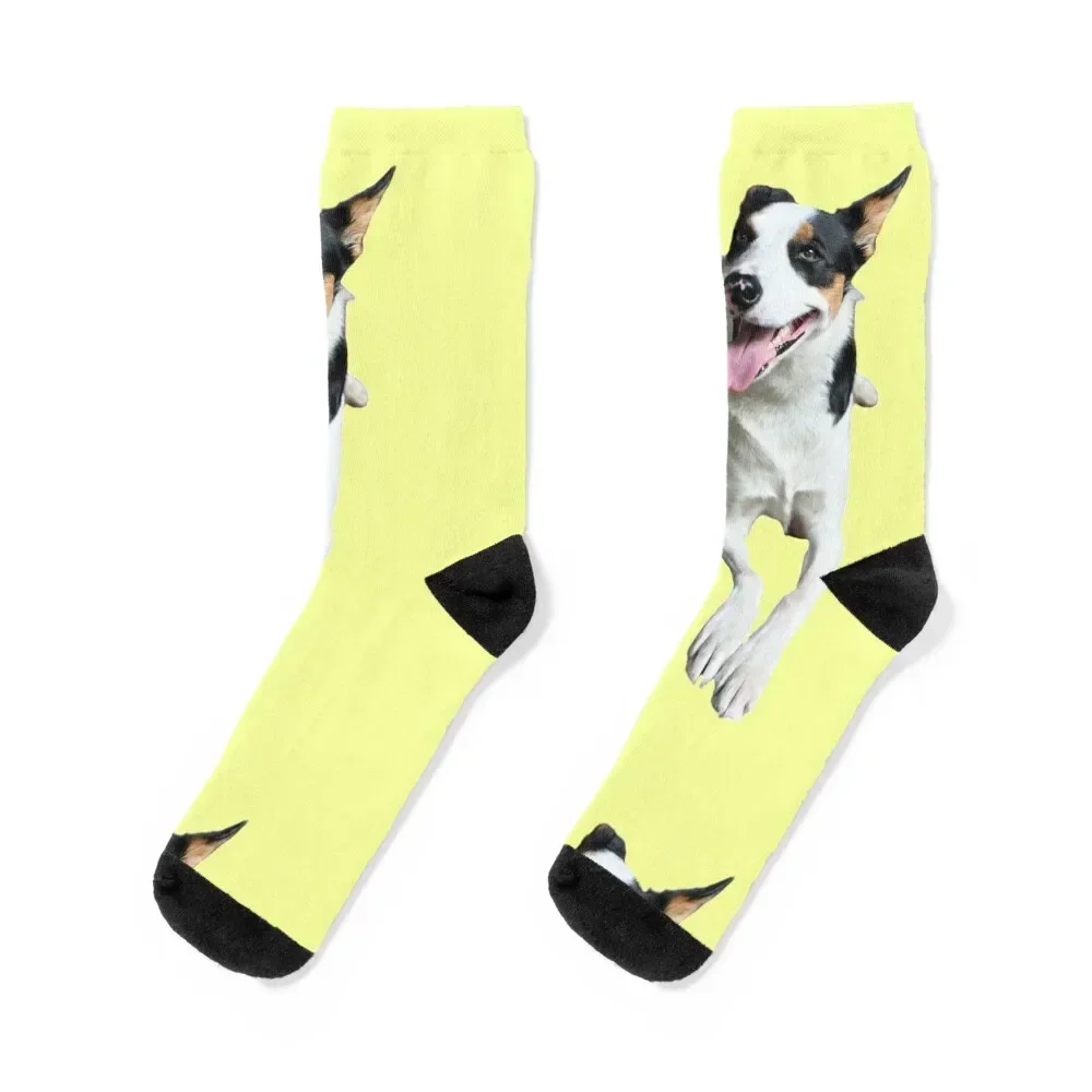 

Vinnie One Butter Super Model Socks happy Stockings compression FASHION kawaii Boy Socks Women's