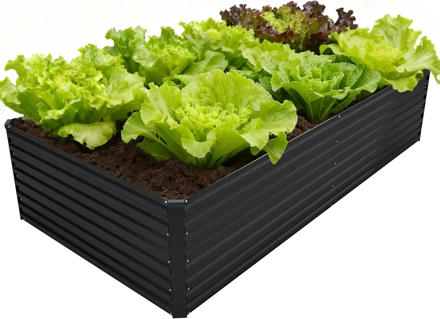 

Большой оцинкованный приподнятый грядок-клумба 8x4x2 фута, металлический ящик-кашпо для овощей, цветов и трав для улицы