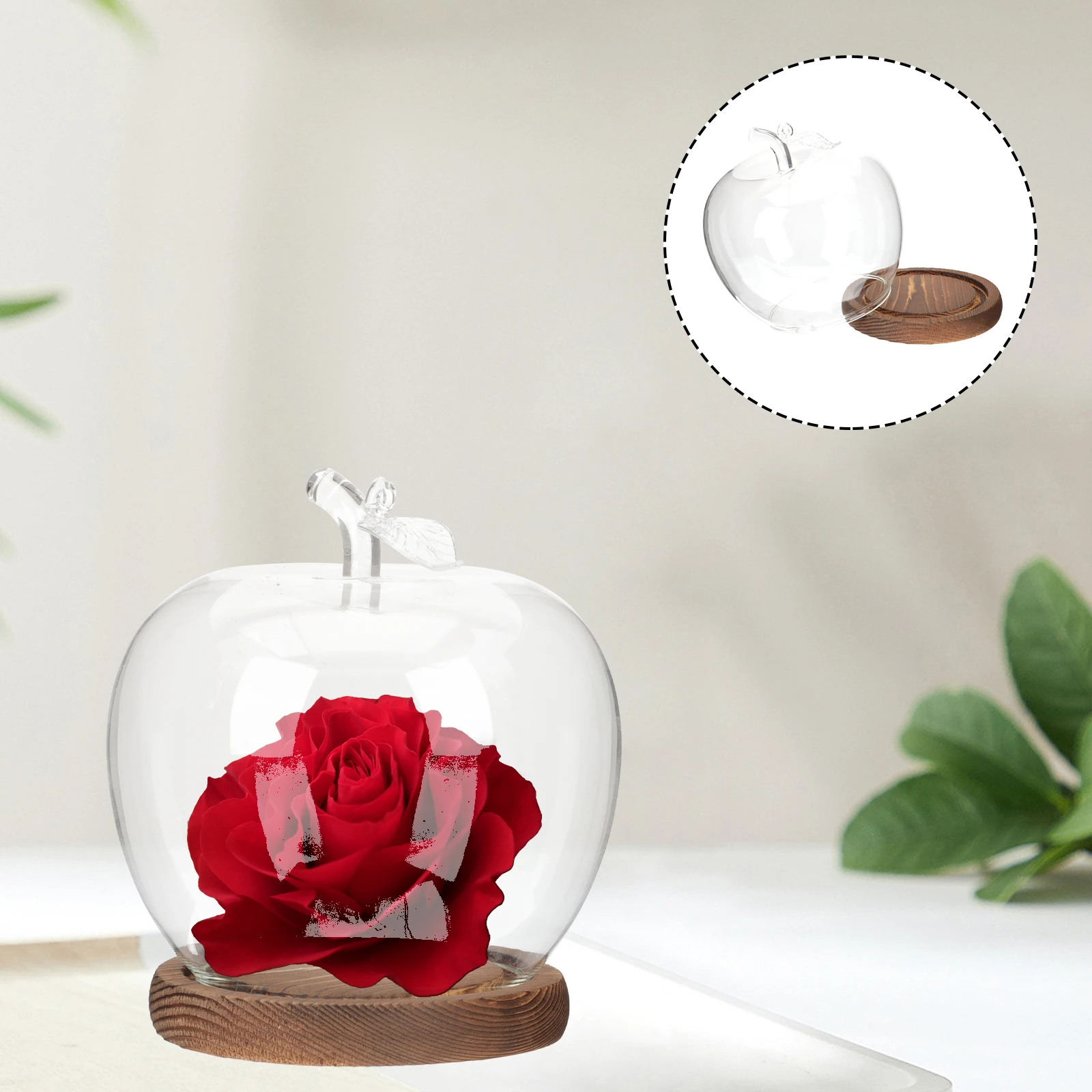 

Glass Dome Display Cloche with Wood Base Apple Glass Cover Clear Dustproof Transparent Storage Hood Preserved Flower Case Crafts