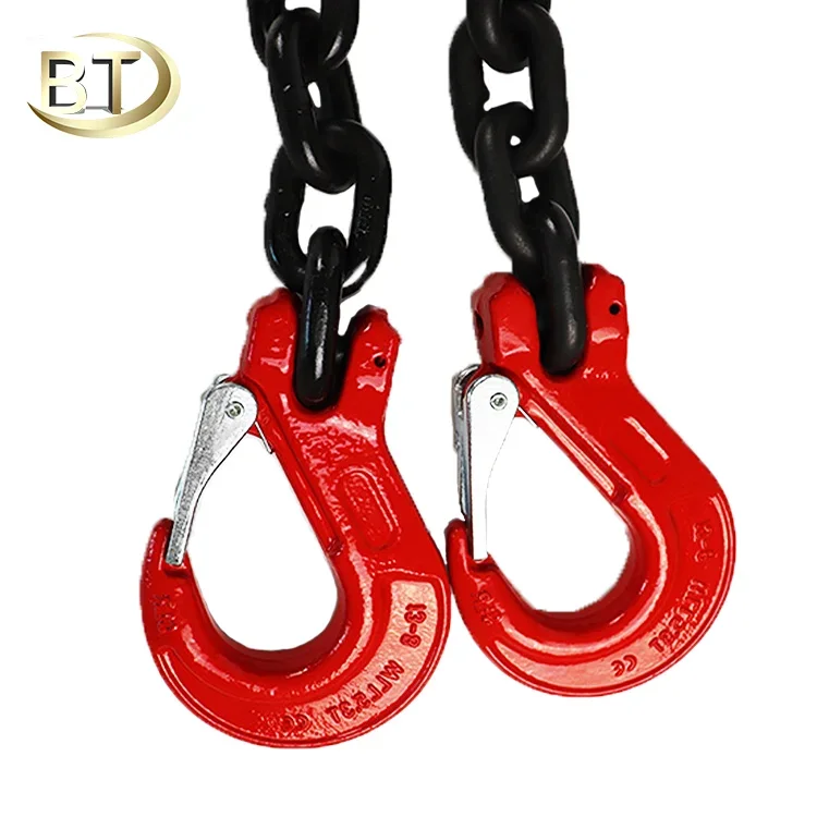 

Baot Safety And Durable Wire Rope Lifting Chain For Crane Works Lifting G80 2 Legs Engine Chain Hoist Lifts Sling