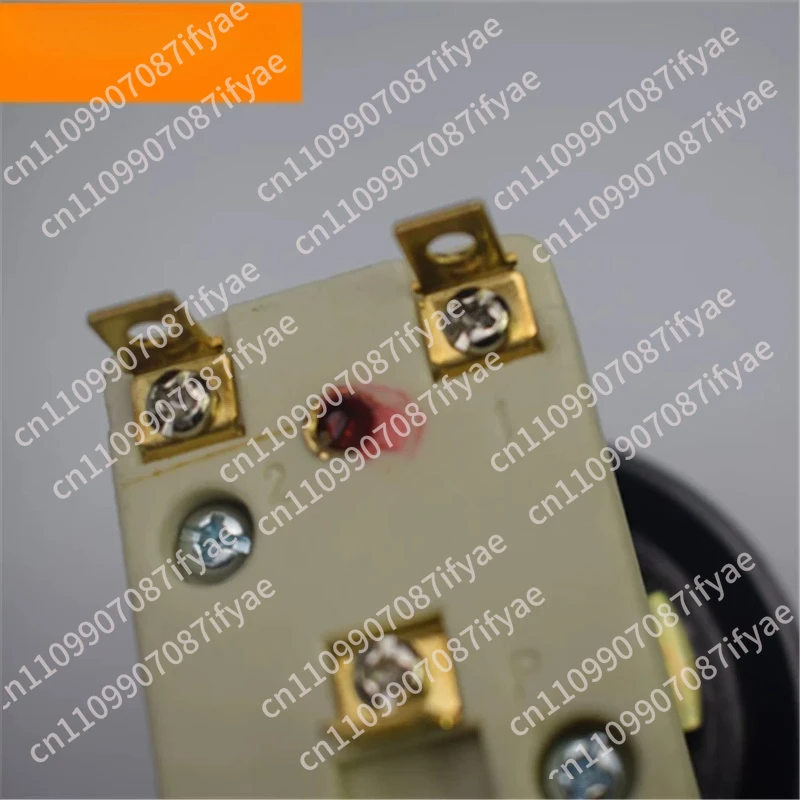 Pizza Oven Thermostat Thermostat Switch Knob Temperature Control High Temperature 500 Degree Electric Oven