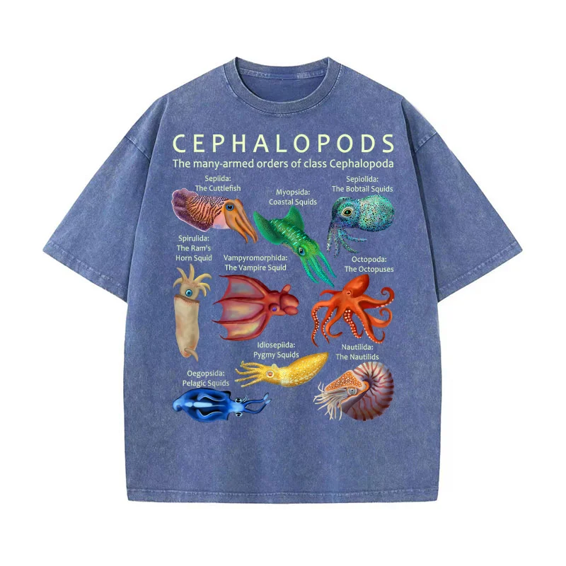 The Cephalopod Octopus Squid Cuttlefish and Nautilus Pure Cotton T-shirt For Man Art Graphic Clothing