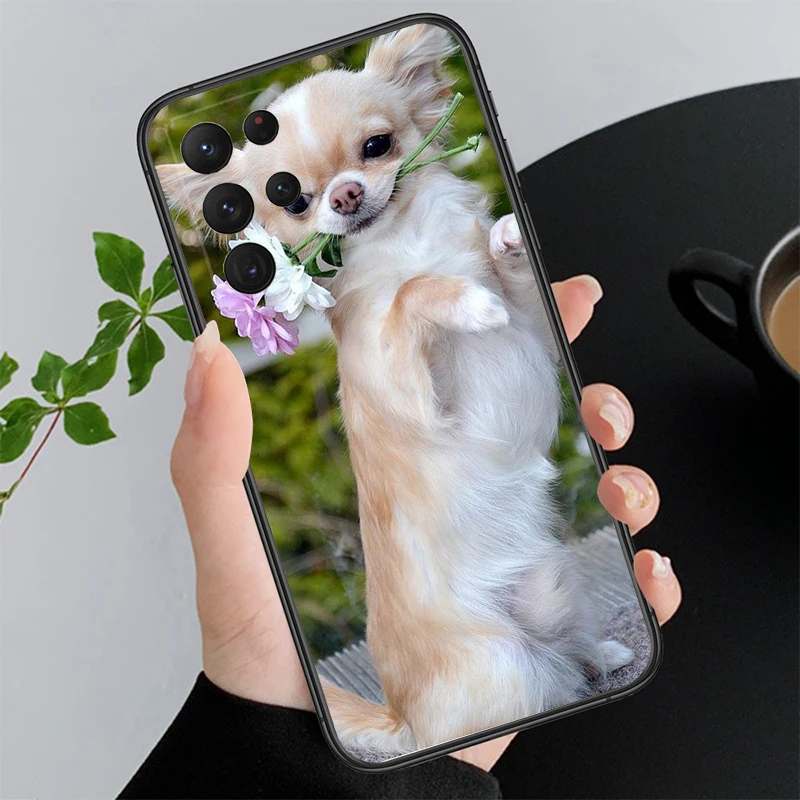 Funda de teléfono para cachorro de Chihuahua, carcasa para Samsung Galaxy A52S, A04S, A21S, A33, A23, A13, A14, A32, A52, A53, A54, A51, A71, M51