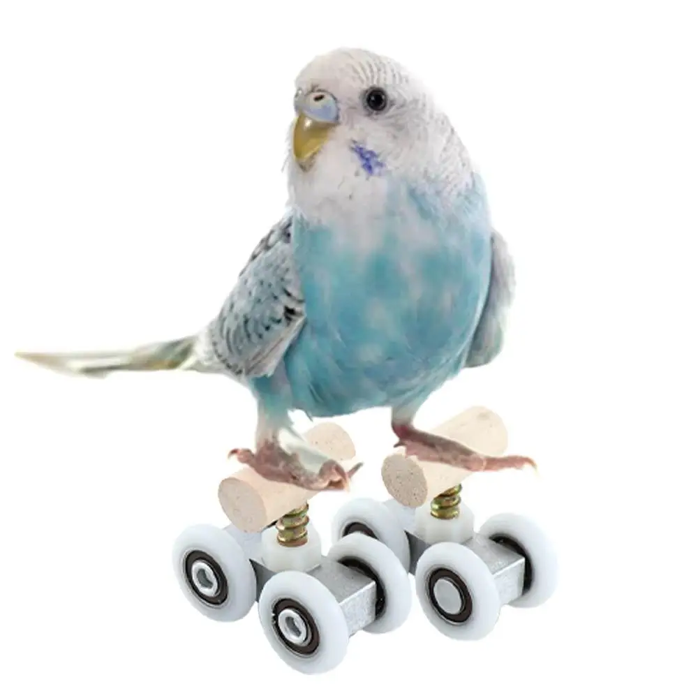 Hout voor kleine middelgrote papegaaien Roller schaatsen Speelgoed Papegaai Truc Tafelblad Vogels Accessoires Papegaai Rolschaats Puzzelspeelgoed