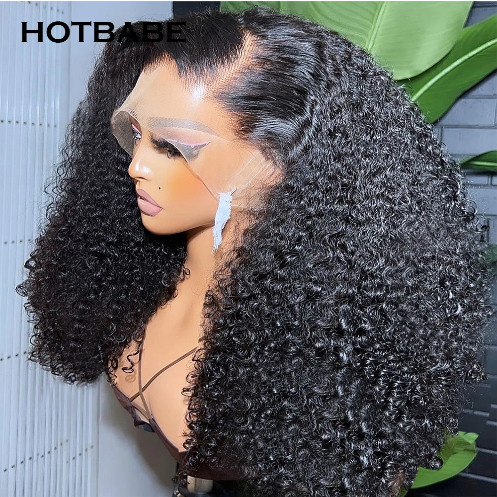 400 Density Kinky Curly Lace Front Human Hair Wig 13x4 13x6 HD Transparent Lace Frontal Wig Double Drawn High Density Lace Wigs