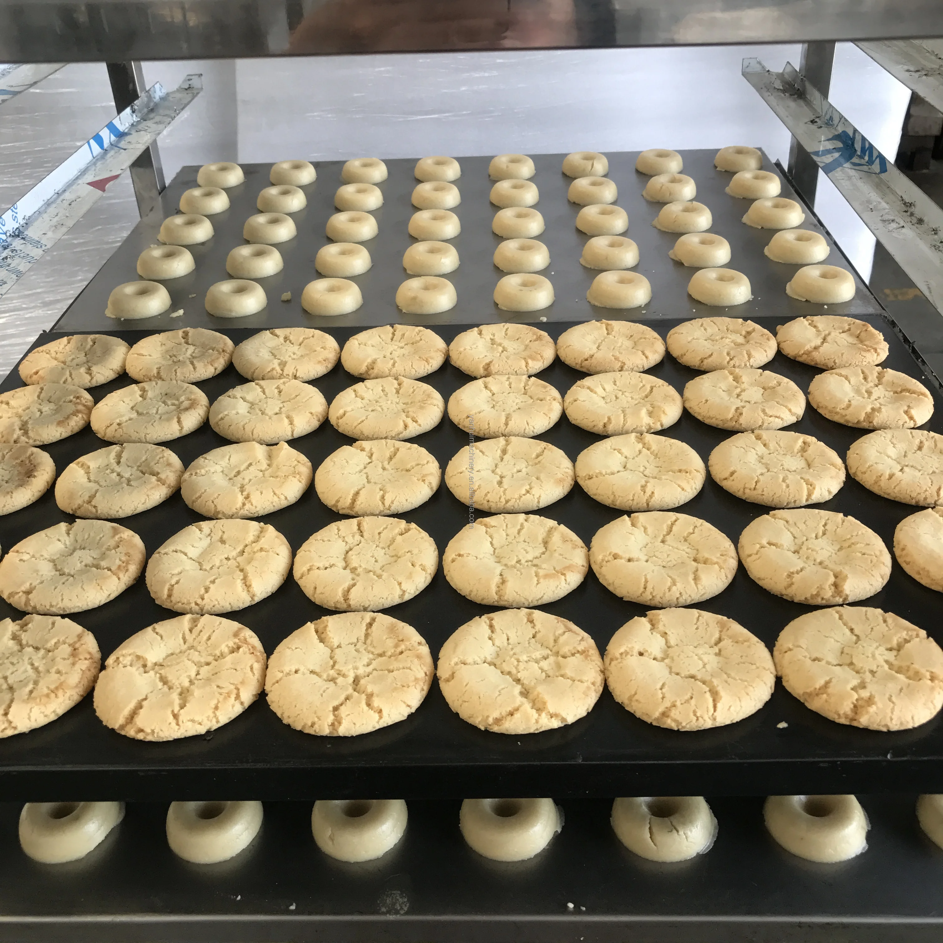 آلة صنع البسكويت ORME آلة صنع البسكويت على نطاق صغير آلة صنع أسطوانة البسكويت الموردة #4