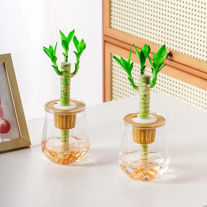 Mini Self Watering Flower Pot Fish Tank Transparent Plastic Plant Pots Self Watering Planter Pot Vase For Home Decoration