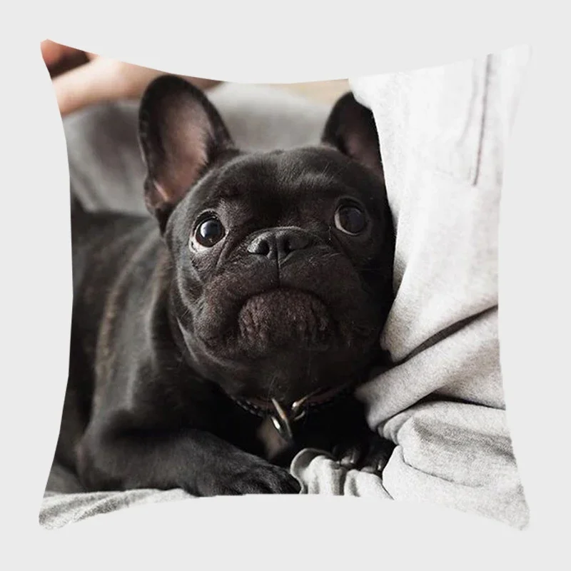 Bulldog Polyester Cushion Cover Modern French Bulldog Pillowcase Sofa Throw Pillow Cover Decorative Pillowcase for Couch Bed Car