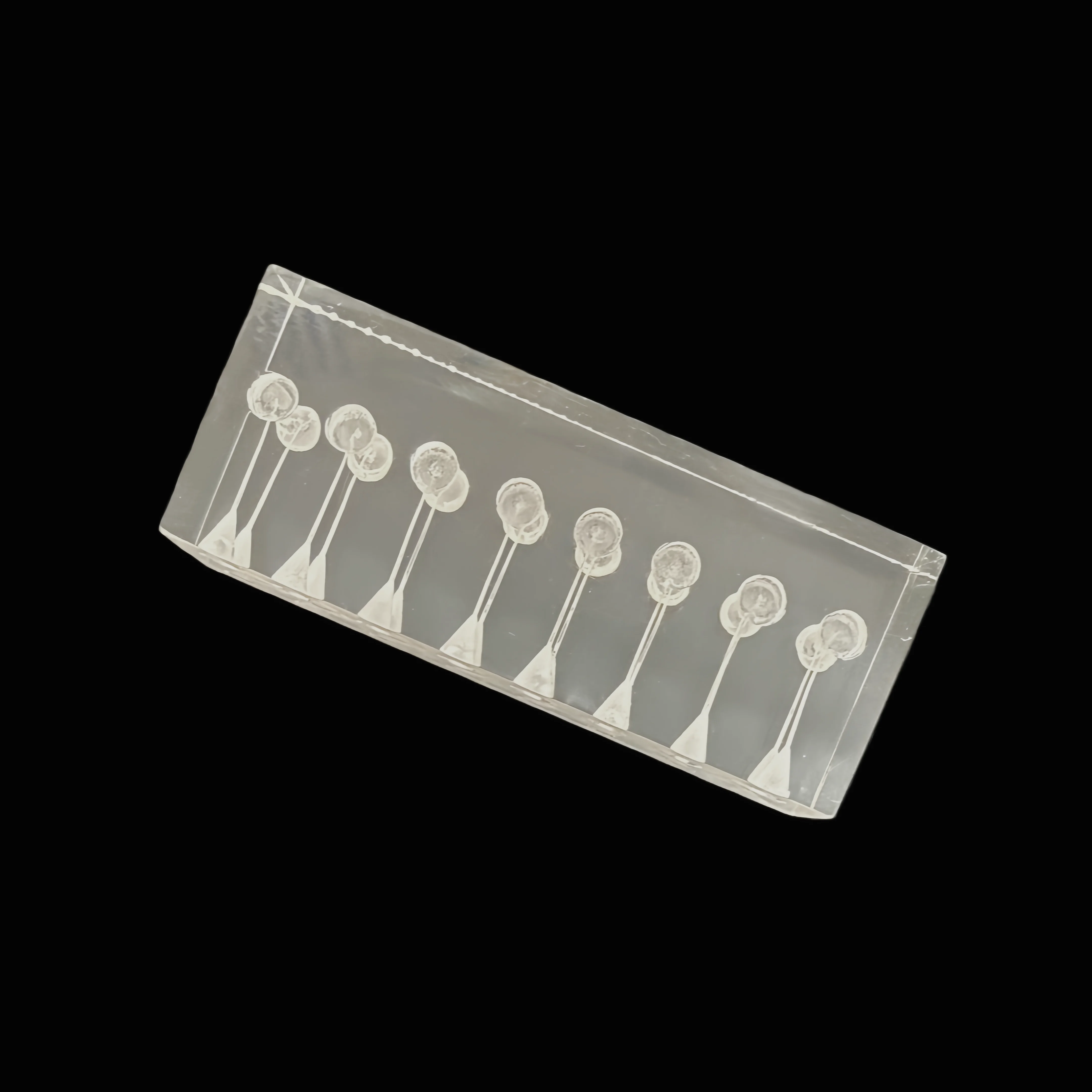 #69 Dental Teaching Models List of Top Picks