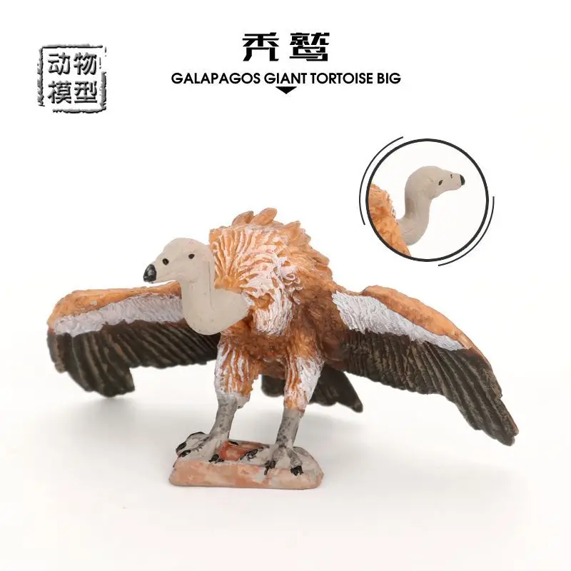 

Cross-border simulation wildlife model bird animal toy vulture mountain eagle children's science and education cognitive toys