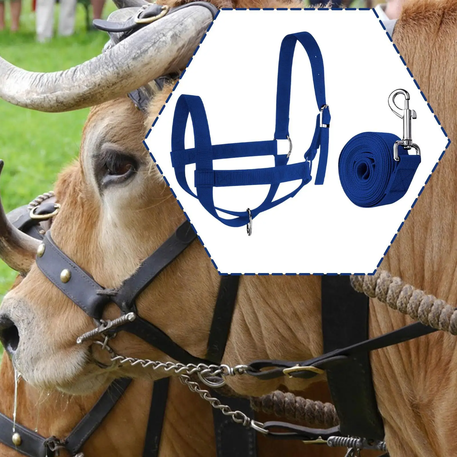 Outdoor Livestock Nylon Halter Rope Bull Bridle Cow Lead Farm Animal Supply for Ranch Cattle Sheep Horse Training
