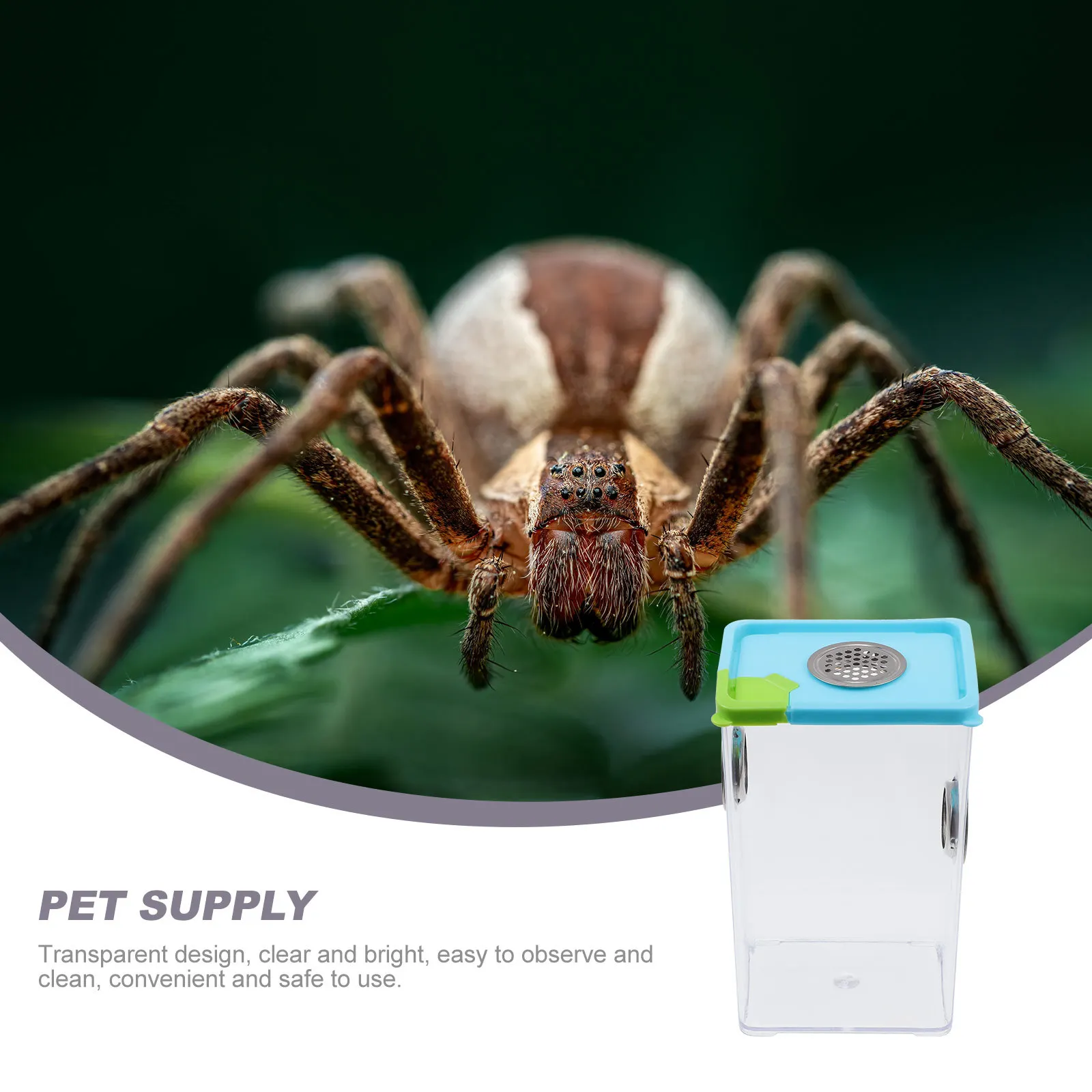 

Insect Feeding Box Transparent Reptile Breeding Case For Spider Lizard Turtle Frog Corn Snake Pet Display Container