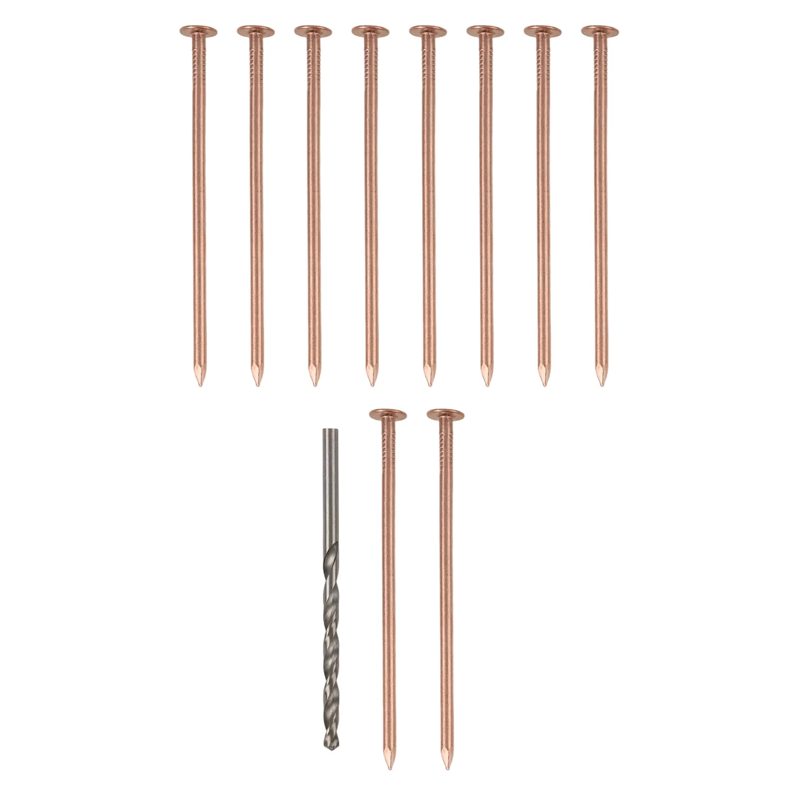 

Root Killing Copper Nails Garden Renovation Copper Nails For Killing Plants 10pcs Nail Set 4-inch Long Nails Easy To Use Design