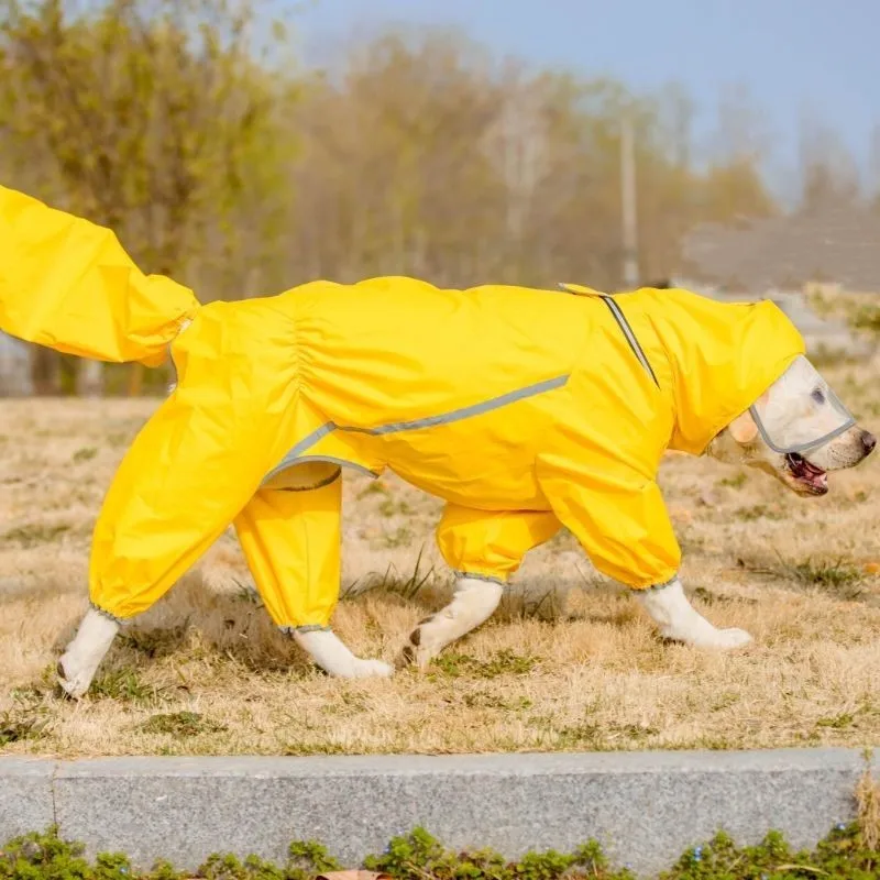 2026 New Creative Home Pet Dog Simple Raincoat Pet Dog Waterproof Raincoat Dog Zipper Thickened Raincoat Pet Supplies LJ162