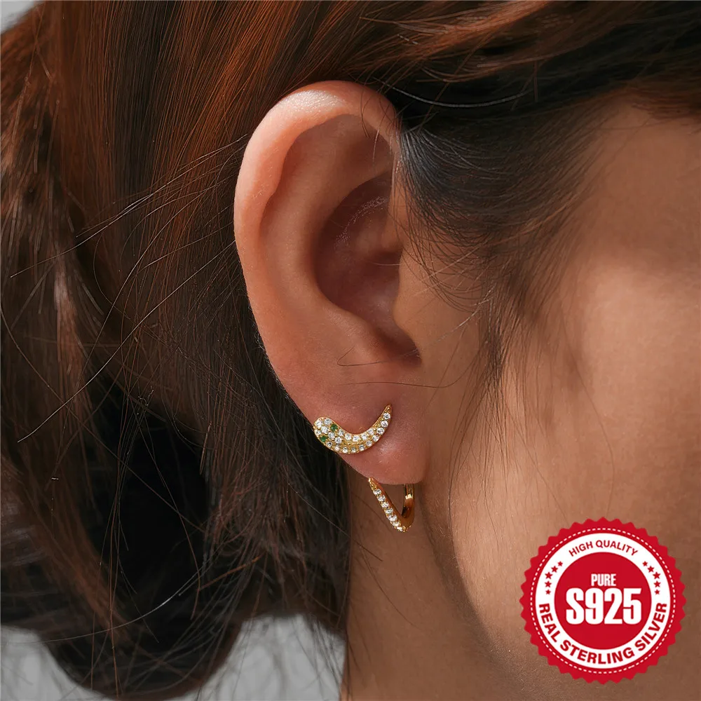 

CANNER Irregular Snake Shape Eardrop Silver 925 For Women Zircon Luxury High Quality Suitable For Engagement Party Black Friday