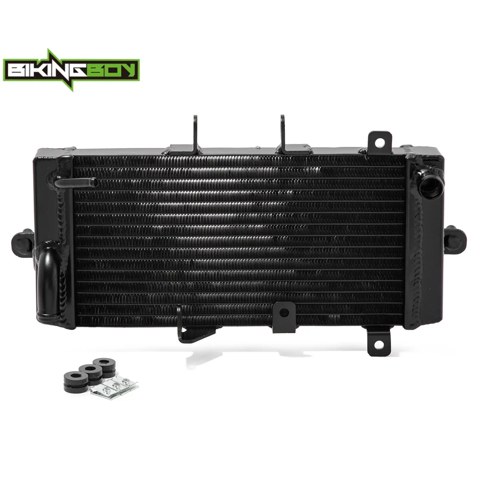 BIKINGBOY Engine Radiator Cooling Cooler For Suzuki GSX250R Inazuma 250 Vstrom 250 DL250 12 13 14 15 16 17 18 19 20 21 2013-2021