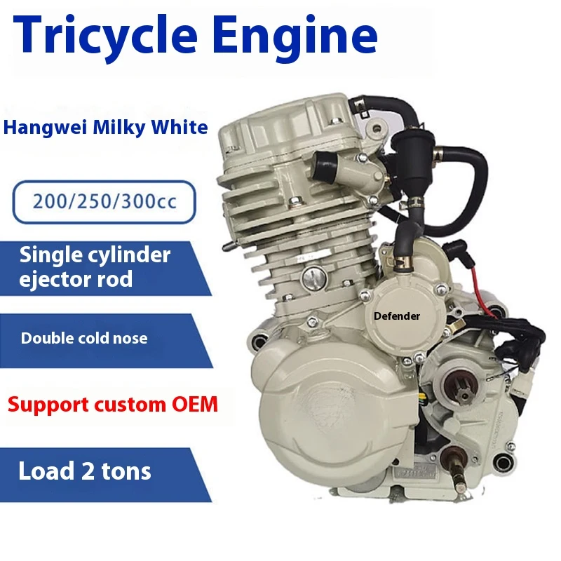 

200cc Water Cooled Tricycle Engine High Standard Motorcycle Electric Kick Start 250cc Model Option 4 Stroke New Condition CDI