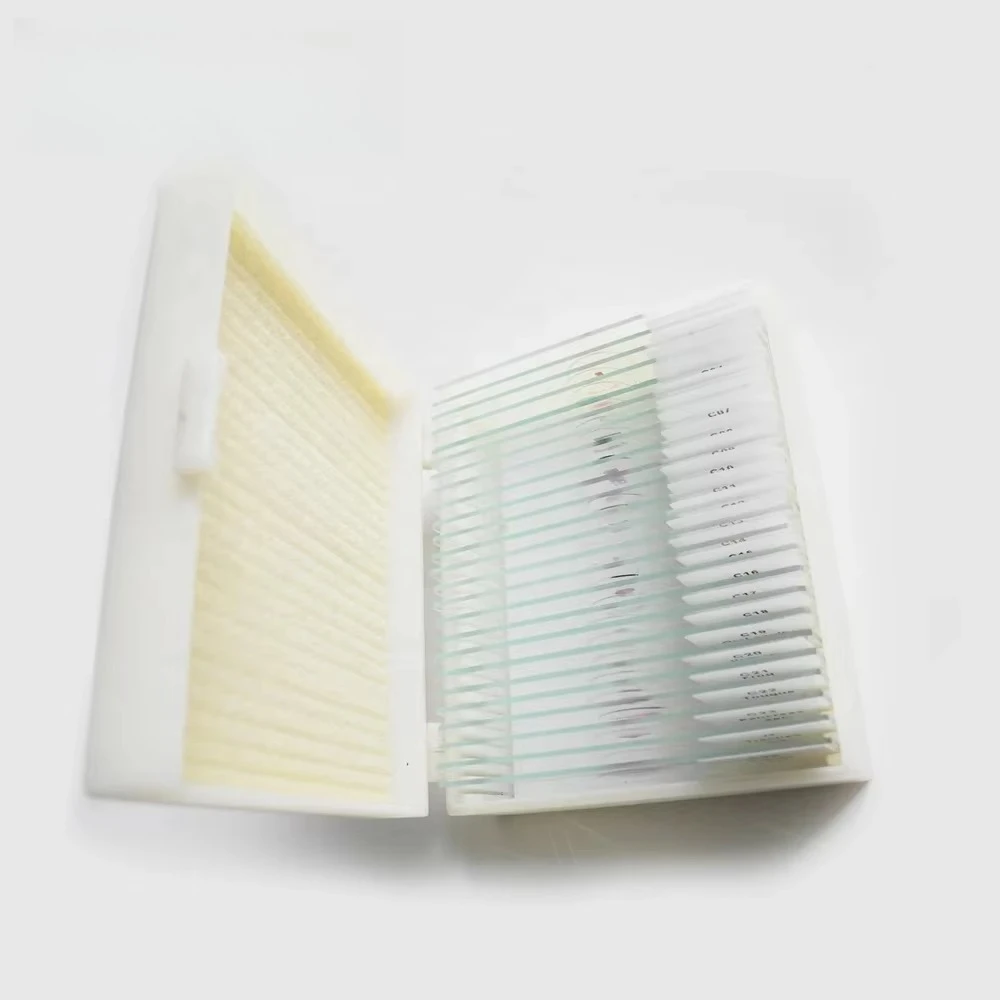 

25pcs Microbiology Microscope Prepared Slides Mycology Educational Biological Microscope Slide Specimen Prepared Slides Fungi