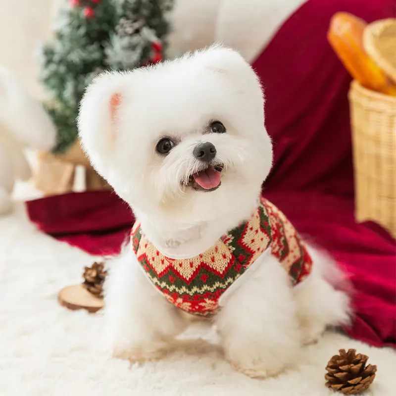 Christmas Autumn and Winter Dog Clothing Three-dimensional Teddy Bear Small Puppy Warm Knit Sweater Cardigan Pet Clothing