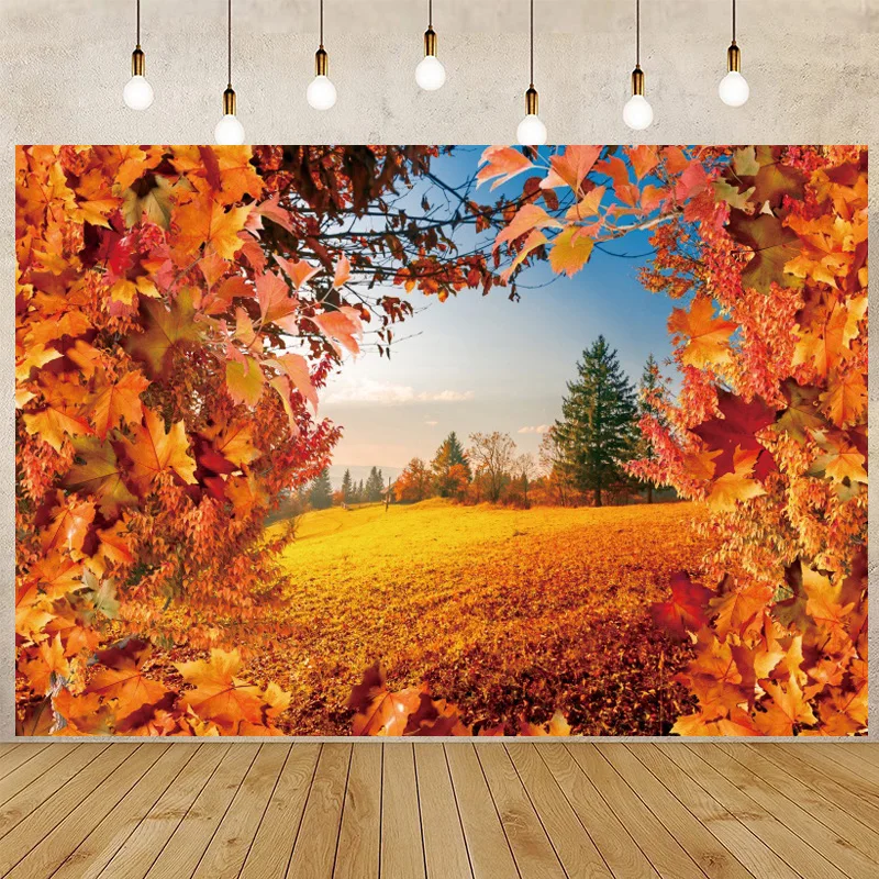 Arrière-plan de Photographie Abstraite, Feuilles d'Automne Jaunes, Forêt, pour Nouveau-né, ixPréChristophe, Portrait d'Enfants, Accessoires de Studio Photo