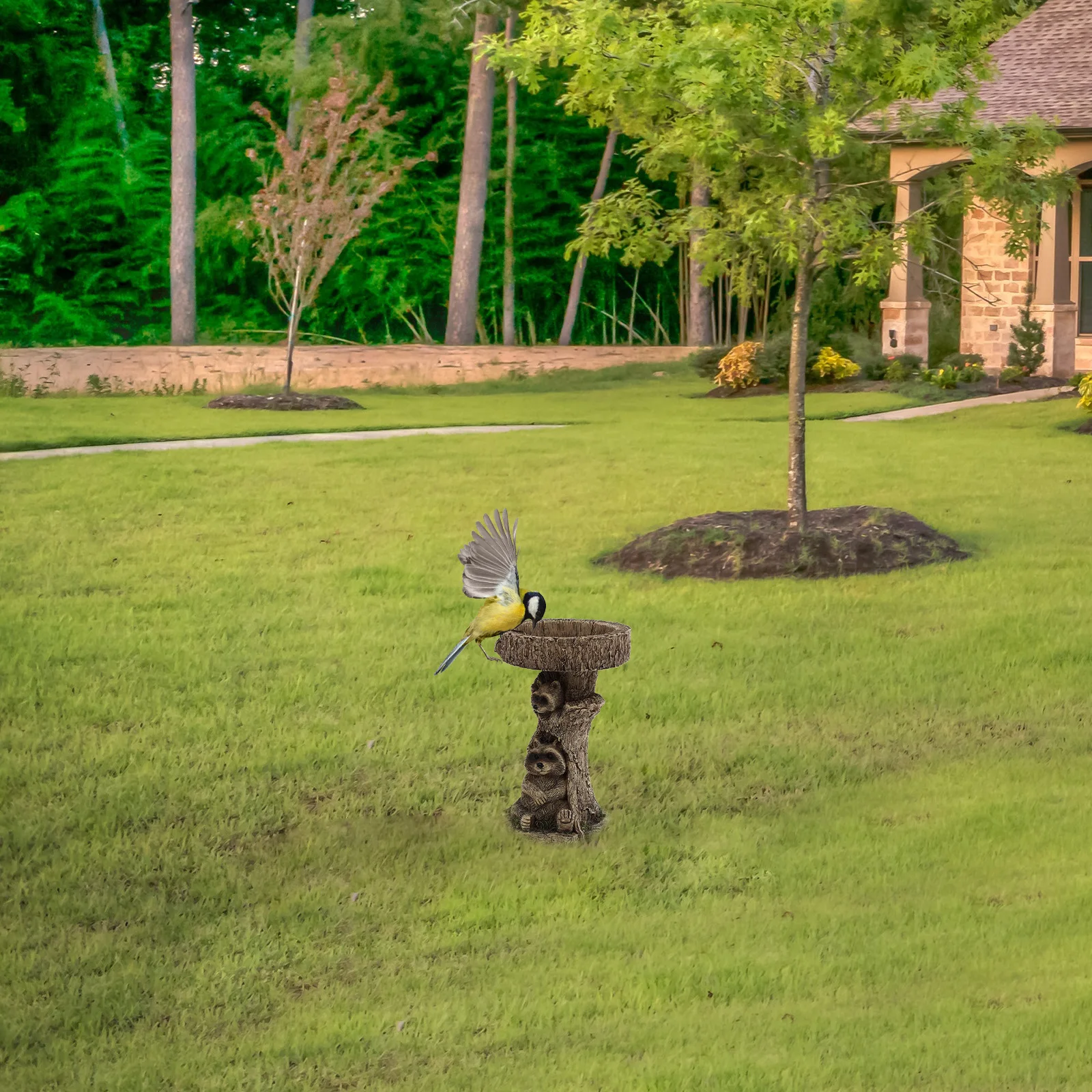 

Resin Bird Feeder Raccoon Statue Durable Reusable Garden nament Yard Adornment Wildlife Decorative Artware Outdoor Backyard