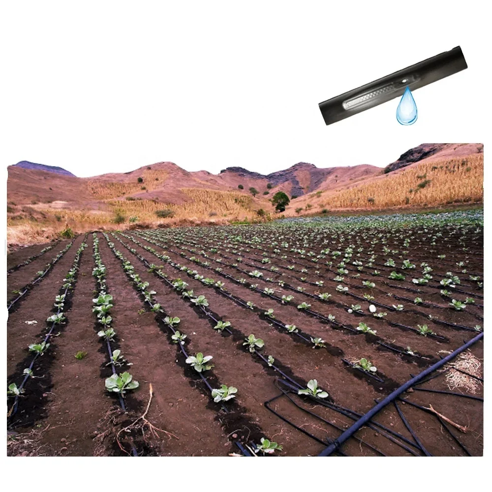 1 Hectare Design Agricultural Drip Irrigation System