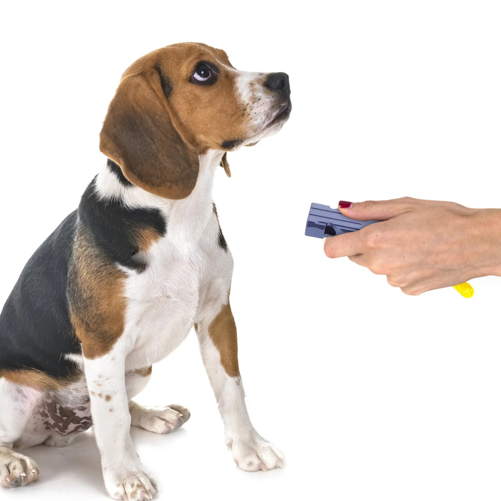 صفارة المشي لمسافات طويلة في حالات الطوارئ بصوت عالٍ متعددة الوظائف لصفارات التخييم الآمنة متعددة الوظائف