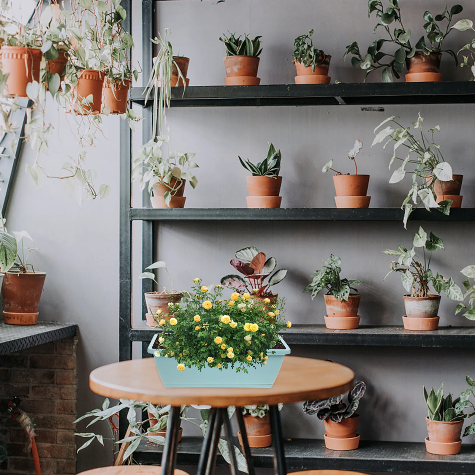 

4Sets Resin Rectangle Window Box Planter Tray for Indoor Outdoor Gardening Vegetable Flower Plant Pot Container