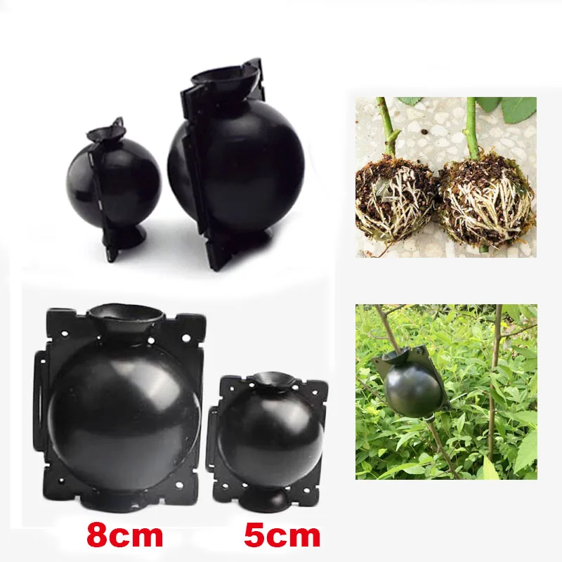 

5pcs Plant Rooting Ball Grafting Rooting Growing Box Breeding Case Plant Root Growing Box For Garden Tools