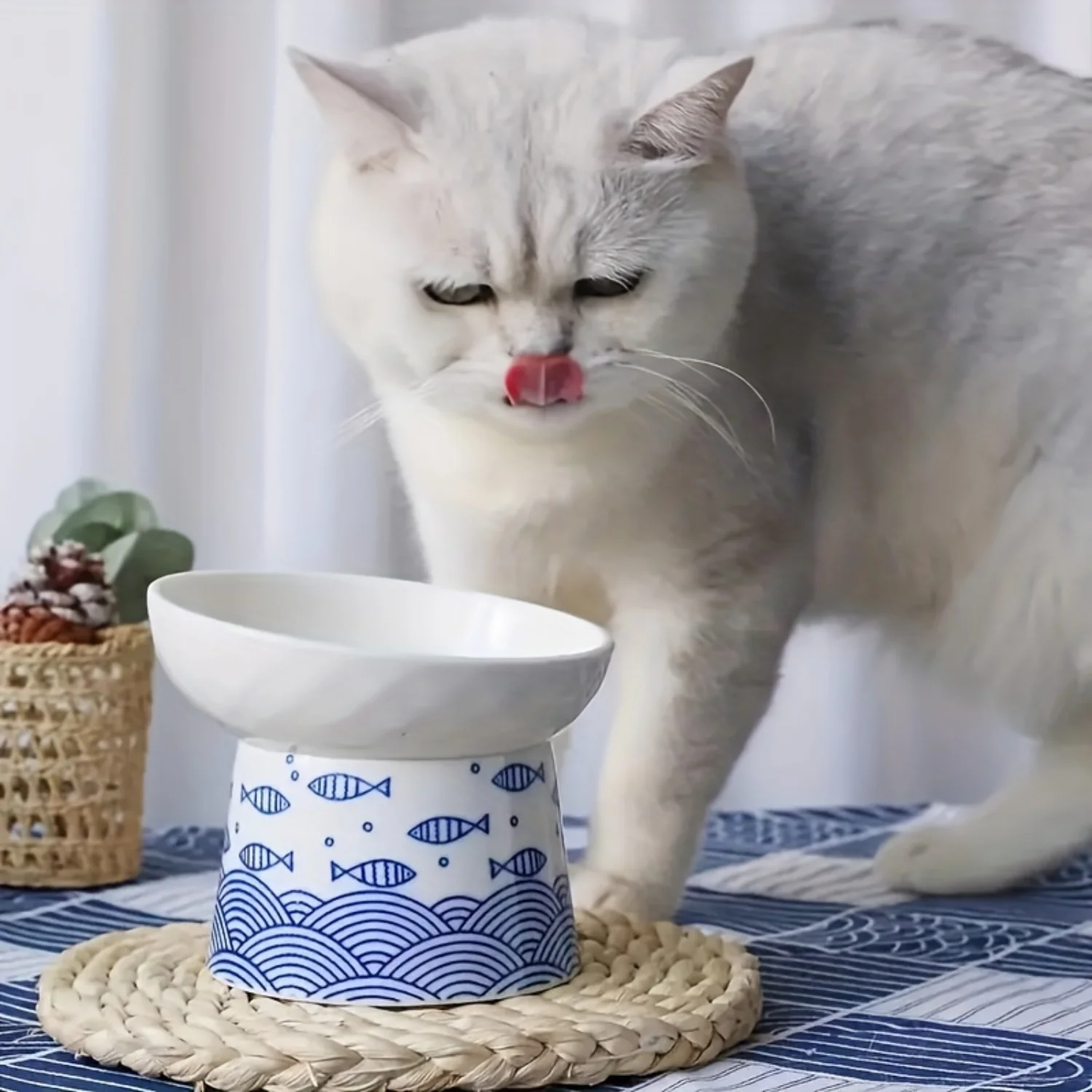 Comedero Ergonómico para Gatos de Cerámica: Plato Elevado e Inclinado para una Digestión Saludable, Menos Derrames Cat toys