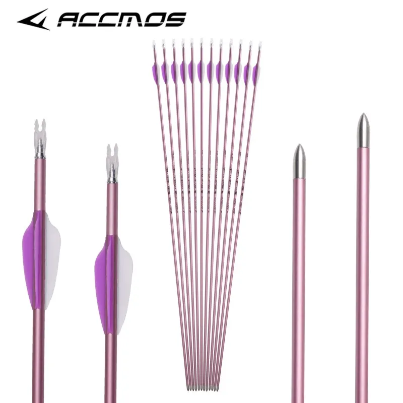 

Углепластиковые стрелы Lady Pink, диаметр 4.2мм, готовые, для стрельбы из лука, охоты, для взрослых, спайн 500, 600, 700, 800, 900, 1000, 12 шт.