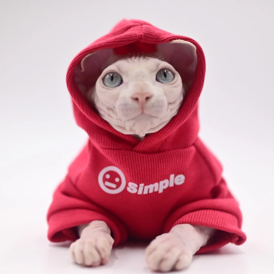 Hairless Sphynx Cat Apparel, Kitty Clothes, Bald Cat Outfits, Autumn and Winter Apparel