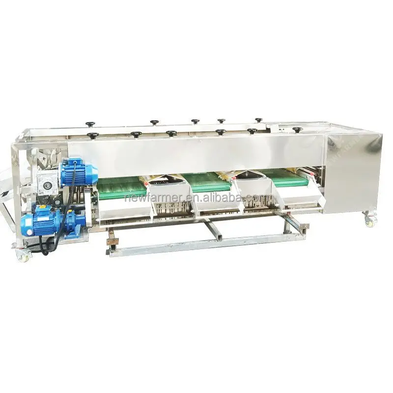 Automatic Fruit And Vegetable Size Sorting Grading Machine Carrot Sorting Machine Fruit Sorting Machine