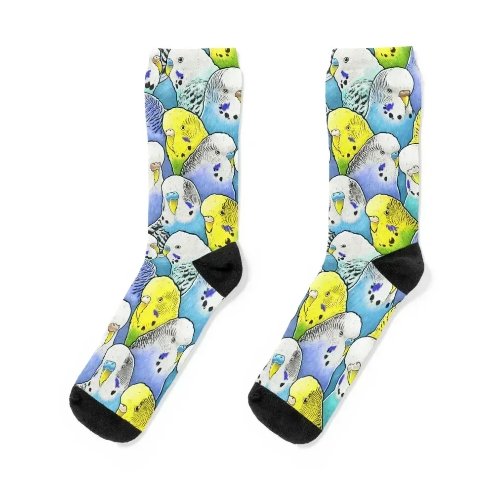 

Colourful Budgies Parakeet Pattern Socks Crossfit new in's essential loose Boy Socks Women's