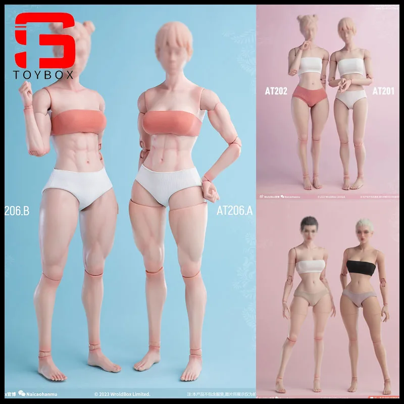 

Worldbox 1/6 AT201 AT202 AT203 AT206 AT210 Female Solider Normal/Fat Leg White Light Tan Skin Action Figure Model Doll Toy