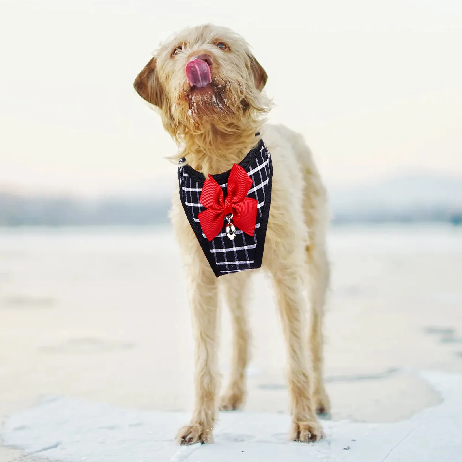 

Dog Harness Leash Set Adjustable Pet Vest For Small Dogs Cats Squirrels Walking Outdoor Puppy Chest Strap Harness