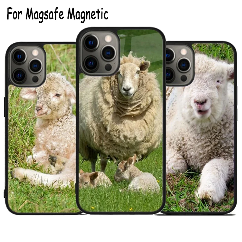 Wooly Sheep Lamb Wireless Charge Magsafe Phone Case For iPhone 15 16 14 13 11 12 Pro Max Plus Magnetic Bumper Cover