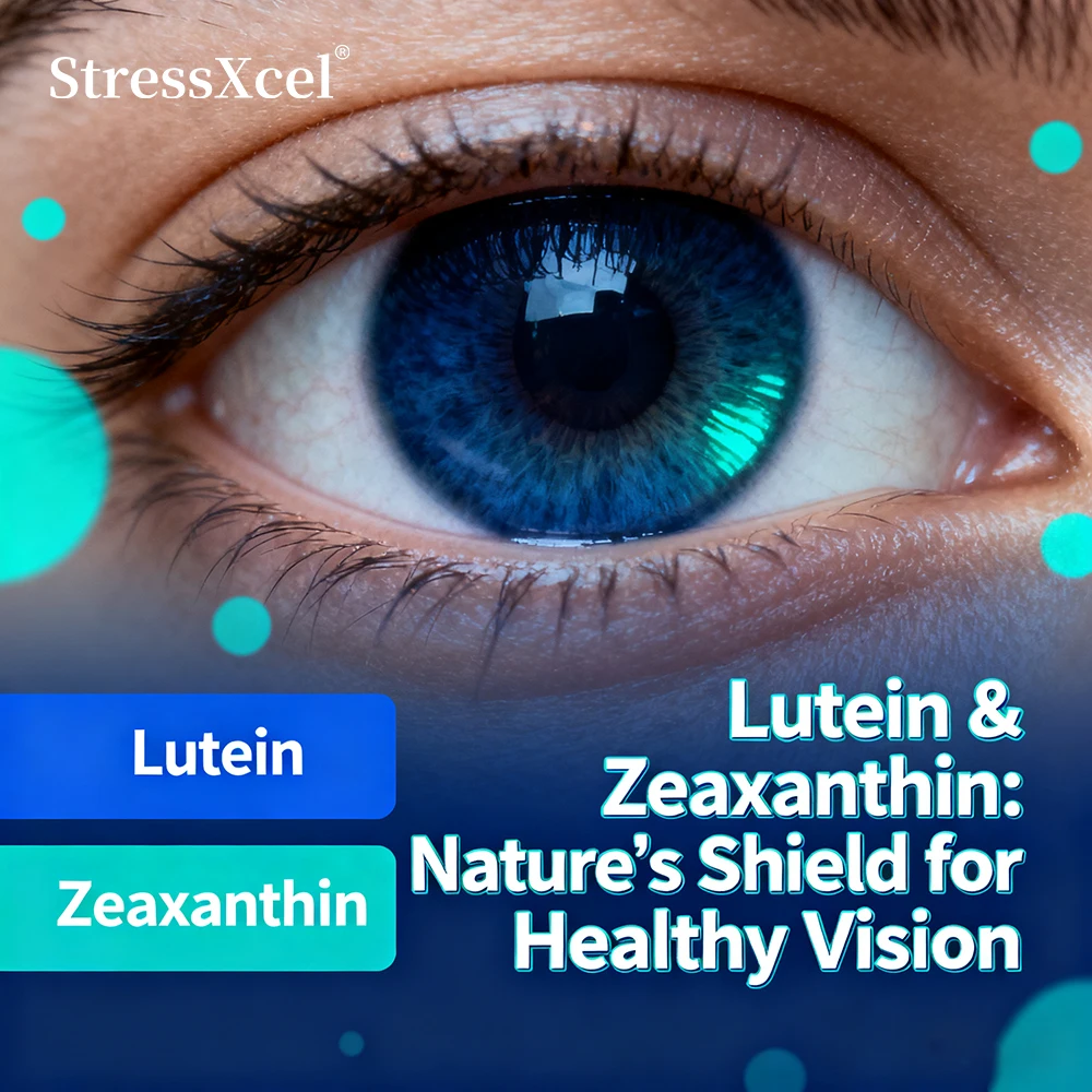 Lutein Eye Support Supplement, Macular & Retina Health, Blue Light Protection, Relieve Eye Fatigue & Dry Eyes, Night Vision Care