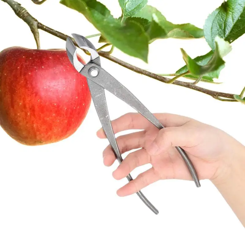 

Bonsai Knob Cutter Concave Edge Cutter Root Cutting Pliers Stainless Steel Ball Shear Scissors Tree Limb Cutter Pruning Tool